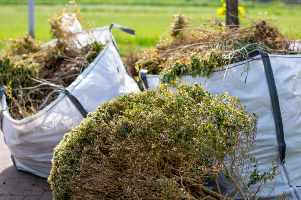 Shed Removal in Sarasota, FL